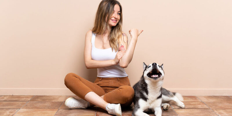 como treinar cachorro para sentar - Como treinar cachorro para sentar: Guia Completo Passo a Passo em 2025