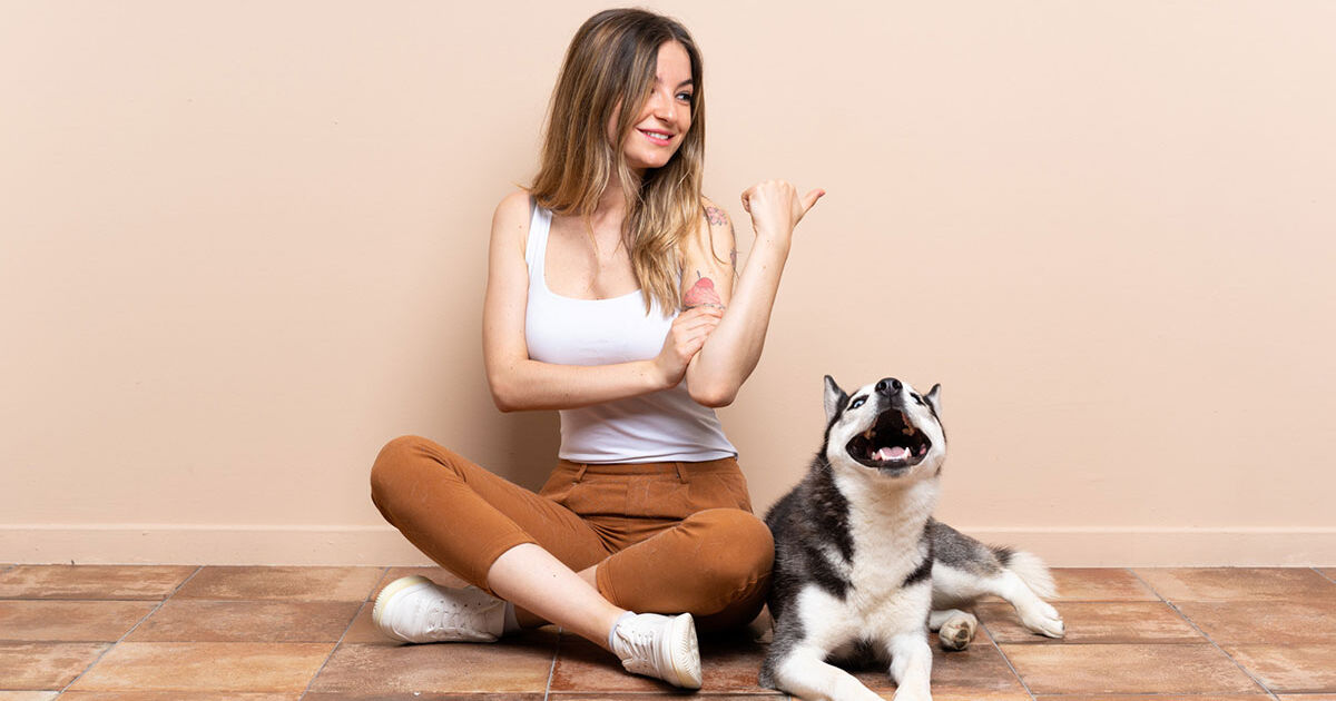 Princípios do adestramento positivo para ensinar comandos básicos